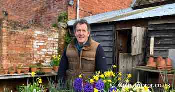 Monty Don's urgent warning for gardeners as 'time is running out' to complete key task