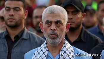 IDF investigating claims Hamas leader Yahya Sinwar has been KILLED in Gaza after images circulate said to show the terrorist's body