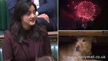 Labour MP pushes to ban fireworks louder than a lawnmower and restrict sales to only specialist shops in a bid to ease the stress on cats and dogs