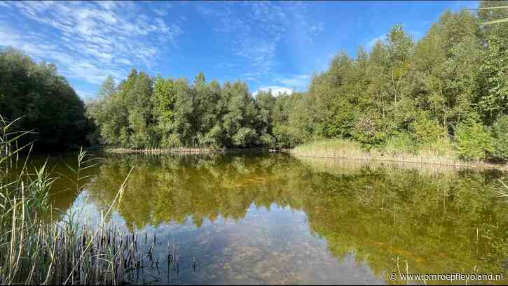 Zeewolde - Waterpoel in Zeewolde hersteld, einde aan opgedroogde vijver