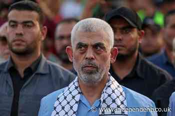 Harris and Biden each respond to death of Hamas leader Yahya Sinwar calling him a ‘terrorist’