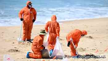 New details emerge after mysterious tar balls washed up on Australia's most iconic beaches