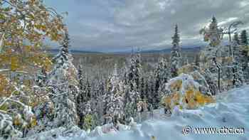 Environment Canada issues snow warnings along B.C.-Yukon border