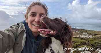 Hero dog honoured for role in protecting endangered seabirds from predators