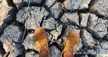 Millions of people across Southern Africa face starvation due to historic drought