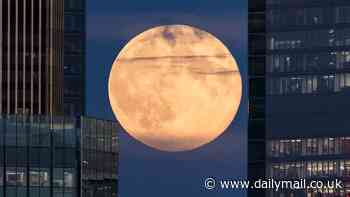 The supermoon has arrived! Stunning photos show the Hunter's Moon in London as rare sight dazzles stargazers across the UK