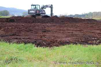 Naturschutzprojekt: Bagger graben Bastauniederung um