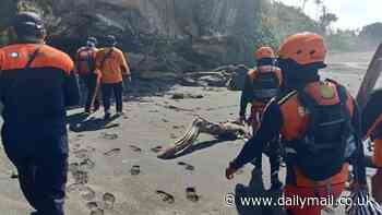 Australian man Craig Laidley dies a hero during rescue at dangerous Bali beach