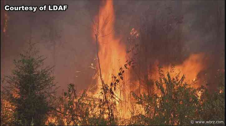 Lack of rain and low humidity pose challenge to firefighters as burn bans continue