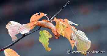 Wetter am Freitag, 18.10.2024: Aktuelle Wettervorhersage und 3-Tage-Trend