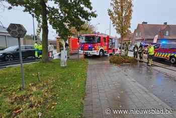 Gaslek bij bedrijventerrein, werknemers en buurtbewoners geëvacueerd