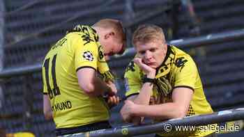 Borussia Dortmund und die Wahrnehmung der BVB-Fans: Mainz oder Madrid, Hauptsache Krise