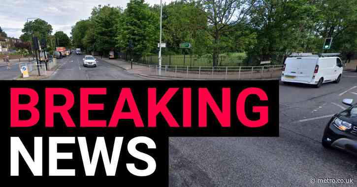 Heavily pregnant woman and baby die in crash with unmarked police car in London