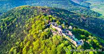 Urlaub im Pfälzerwald: Die 9 schönsten Sehenswürdigkeiten