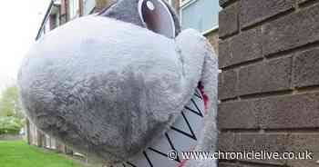 Why you might spot a shark walking around the streets of South Tyneside