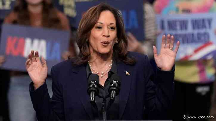 Harris to hecklers at rally: 'I think you meant to go to the smaller one down the street'