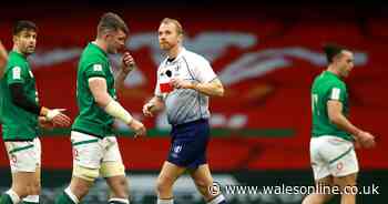 Tonight's rugby news as Ireland hit out at 20-minute red cards and Wales star has 'surreal feeling'