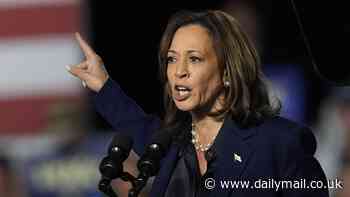 Kamala Harris tees off on Trump's 'father of IVF' comment at Wisconsin rally she chose over Al Smith Catholic charity event