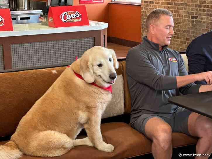 One very good boy: Kirk Herbstreit's dog Ben makes friends everywhere he goes