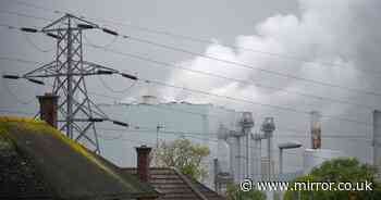 'We're cursed by rats living next to UK's biggest incinerator and homes that are worthless'