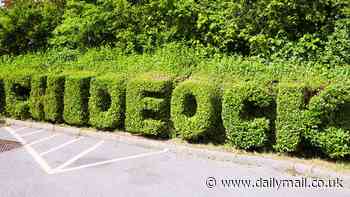 What a co** - up! Village's name is trimmed back when council workmen accidentally cut off letters C and K after being told to prune it