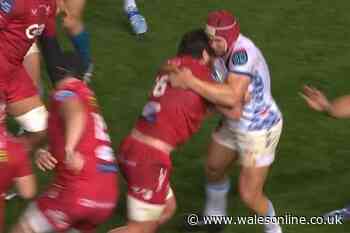 Coach fumes at 'laughable' Scarlets v Bulls red card as 'fight' pledge made