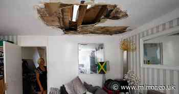 'You could jump through the hole in my ceiling - I've had to live with it for years'