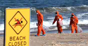 Mysterious tar balls wash up on Sydney beaches and force beach closures