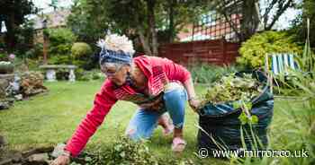 Cheap kitchen item will kill gravel weeds super fast - and is better than vinegar