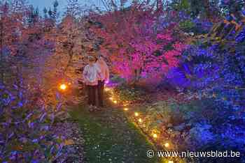 Jong en oud stappen door feeëriek verlichte plantentuin