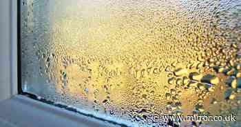 Woman's 20-second hack stops condensation and mould appearing on her windows