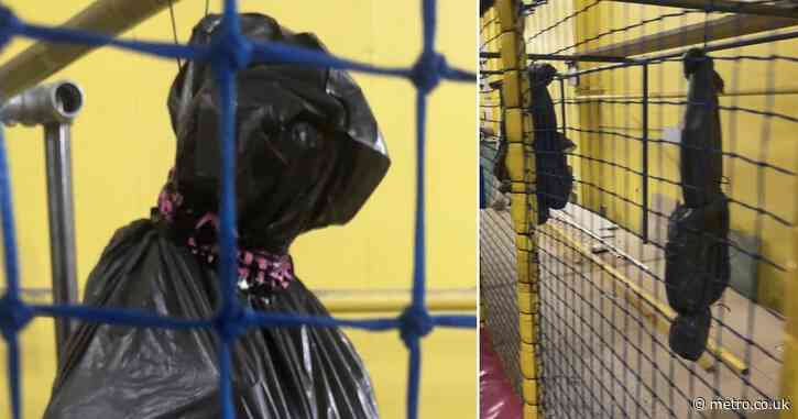 Children’s soft play centre hangs up ‘realistic’ body bag decorations for halloween