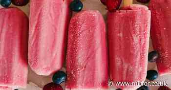 45 calorie protein ice lolly recipe that has just three ingredients