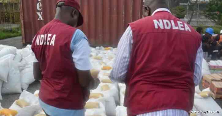 NDLEA raid uncovers drugs at APC senator’s residence