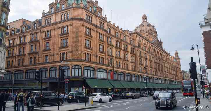 Man ‘kidnapped girl, 9, outside Harrods before drugging and sexually assaulting her’