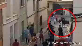 Moment man is horrifically gored to death by a bull after tripping over a pavement while fleeing the raging animal during Spanish festival