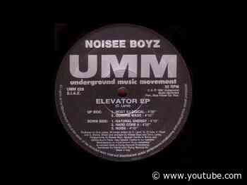 Noisee Boyz - Hard Core 3  1992