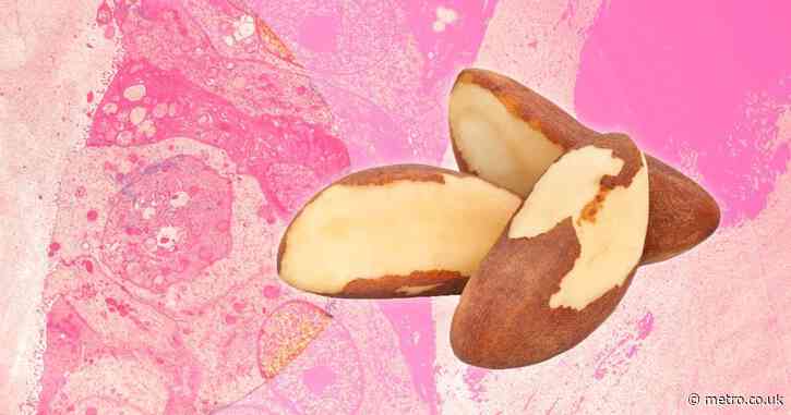 Mineral found in Brazil nuts could be key to saving lives from breast cancer