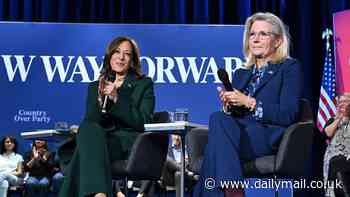 Liz Cheney identifies 'millions' of Republicans who won't publicly admit they're voting for Kamala Harris