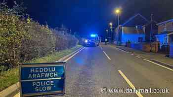 One man dead and 15 others rushed to hospital after two trains collide on remote line in Wales