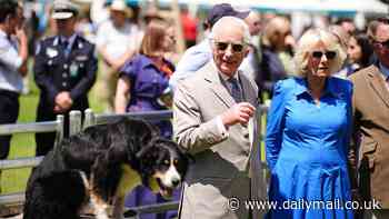 King Charles and Queen Camillas' royal Australian tour Day Five LIVE updates: King Charles suffers awkward gaffe during speech at community barbecue - before His Majesty brushes it off with funny quip