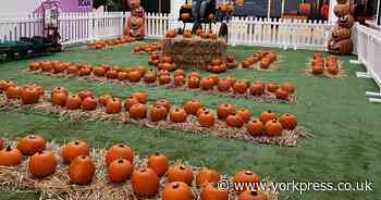 Harrogate celebrates Halloween with trails