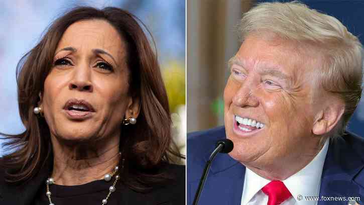 Trump leads Harris in Georgia 2 weeks from Election Day, poll finds