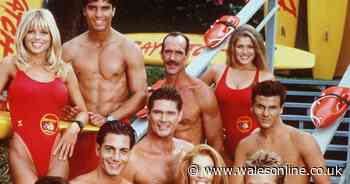 Baywatch star Michael Newman dies aged 68