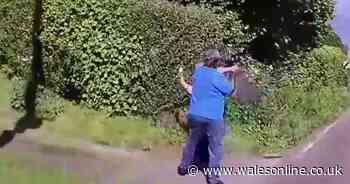 Woman attacks couple with shovel and fire poker in horrific footage