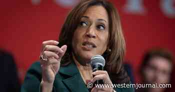 Kamala Harris' Plagiarism Scandal Gets Much Worse - It's Not Just Her Book, New Report Alleges