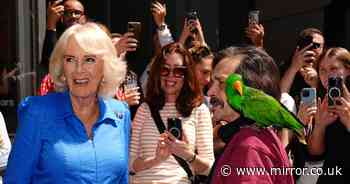 Queen Camilla's bizarre encounter with cute parrot amid Australia royal tour