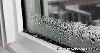 Why condensation is forming on your windows and how to stop it