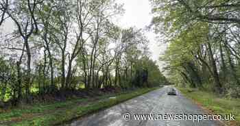 Bexley man found dead in undergrowth named for first time by police