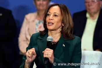 Kamala Harris makes casual weed comment in election stress conversation